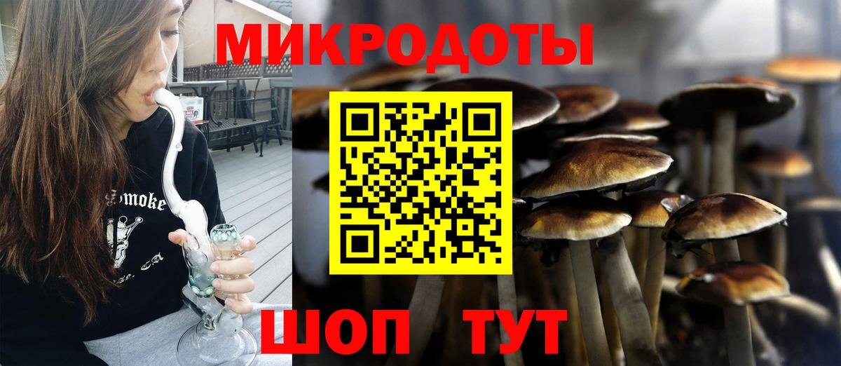 Галлюциногенные грибы Psilocybe Гусь-Хрустальный